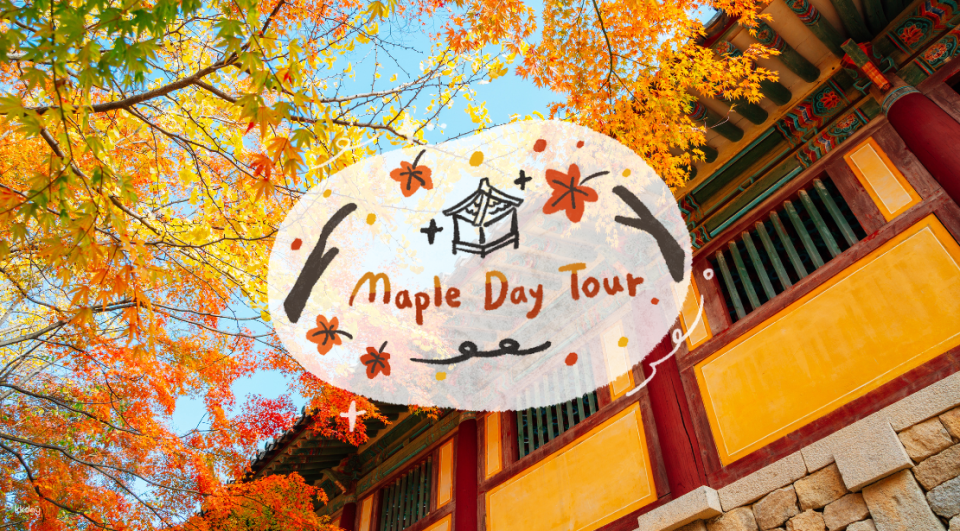 Gyeongju Bulguksa Temple and Hwangryudanro Tour (Departing from Busan) | South Korea - Photo 1 of 6